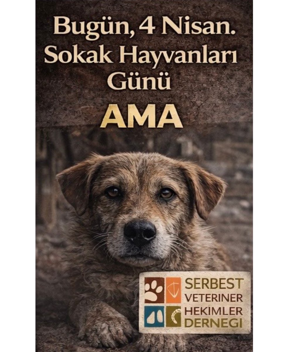 Serbest Veteriner Hekimler Derneği tweet media