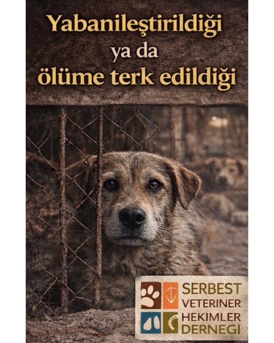 Serbest Veteriner Hekimler Derneği tweet media