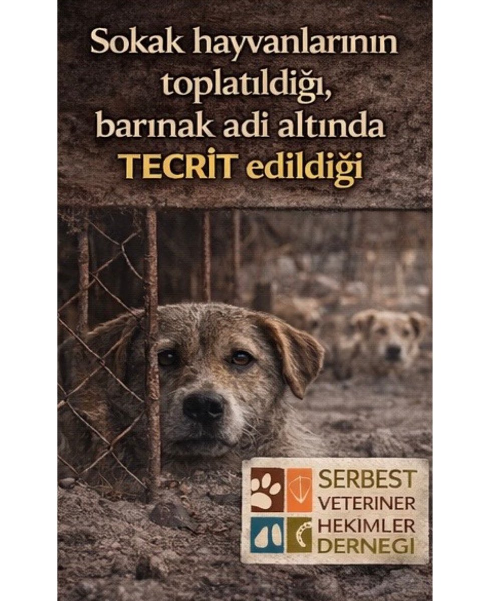 Serbest Veteriner Hekimler Derneği tweet media