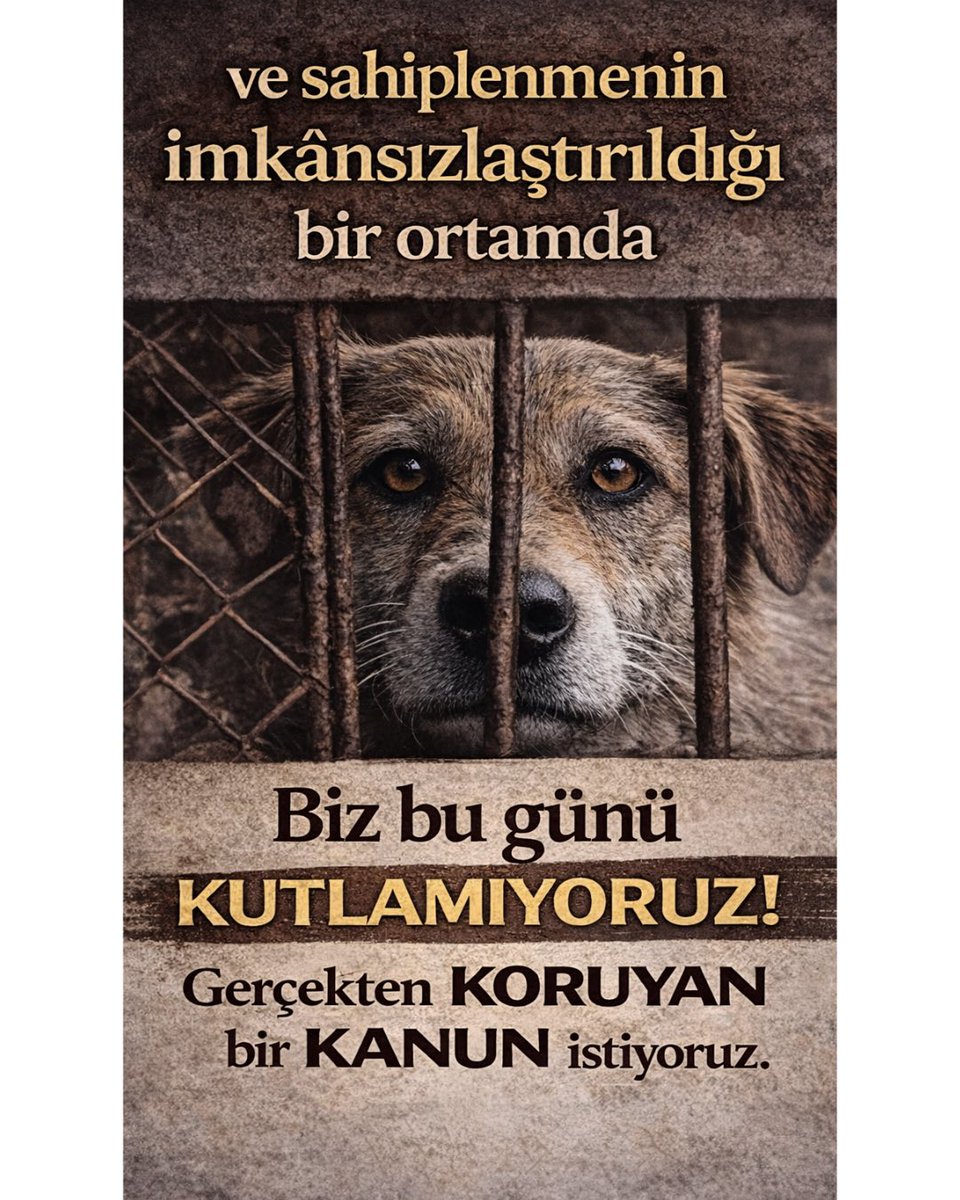 Serbest Veteriner Hekimler Derneği tweet media