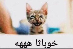 SERGEANT GRIMES tweet media