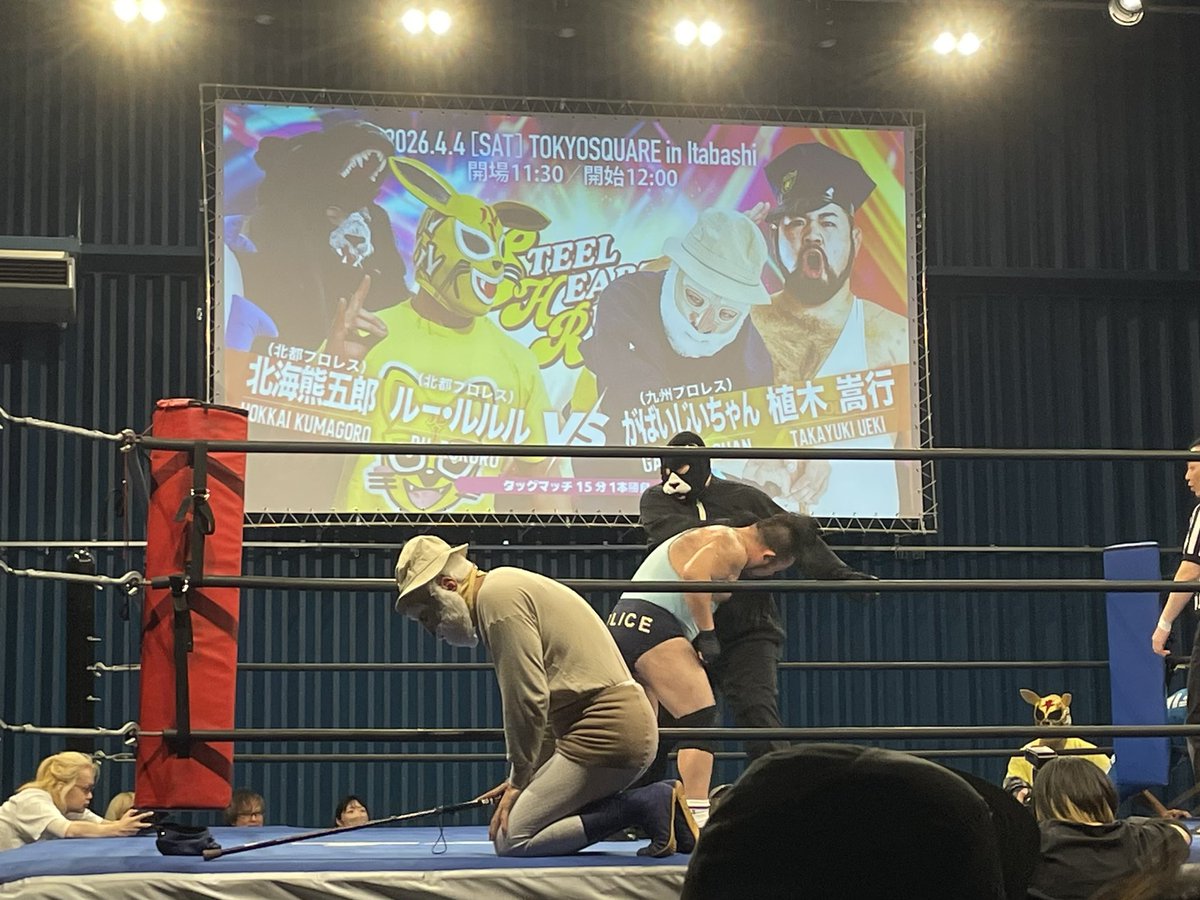 中野たたむ Tatam Nakano【欠場中】 tweet media