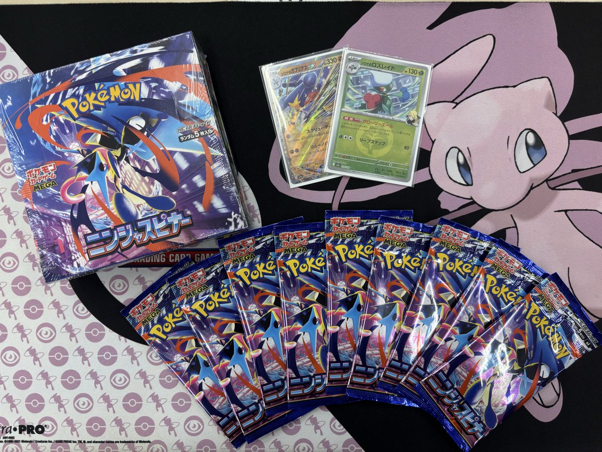 neady@チーム:The Garura tweet media