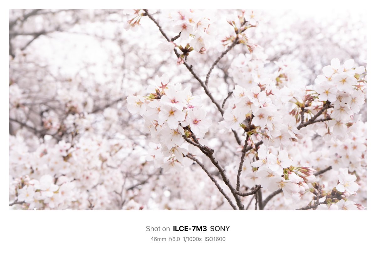 𝙆𝙄𝙍𝙄 (@suzyiesi2) on Twitter photo 