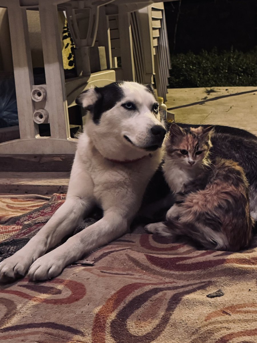 Kürşat Şimşek tweet media