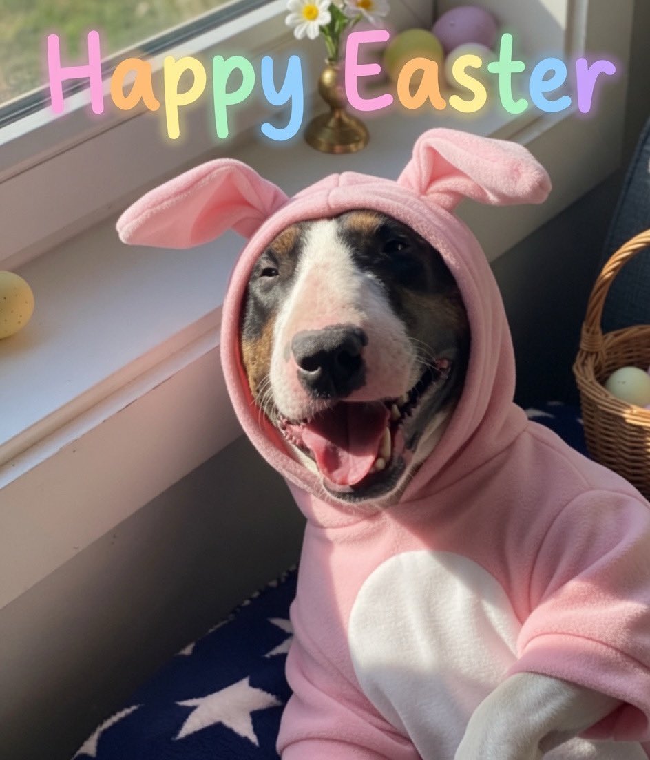 Doge Norway tweet media