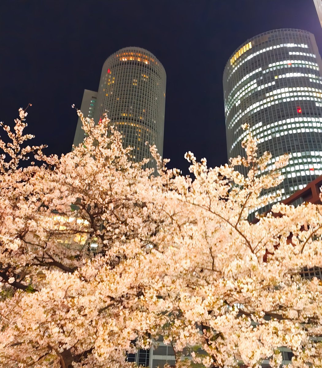 ハッピーターンの粉@3月8日秘密の縄ばり tweet media