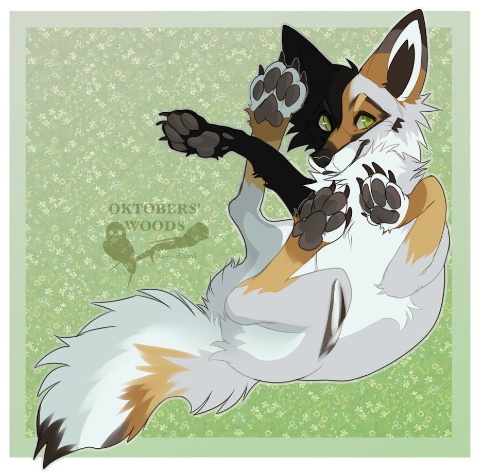 ๐พ๐๐๐๐๐๐ | ๐๐ฅ๐๐ฃ โ๏ธ ๐ฒ๐๐๐๐ tweet media