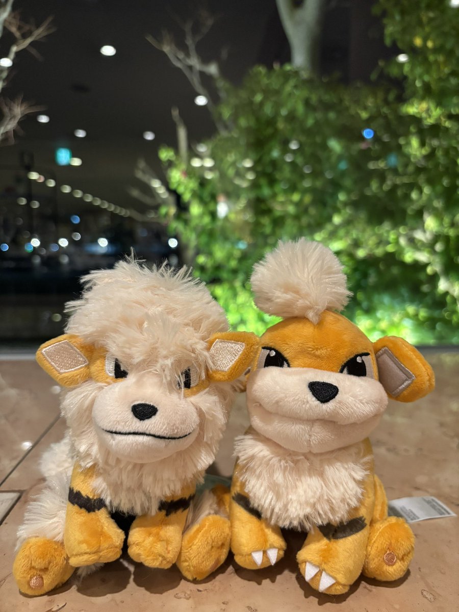 ご馳走様でした♡
シャンパンけっこうまわった🌀
帰りも歩いて酔いを醒まそう。
桜を眺めながら🌸🌸🌸