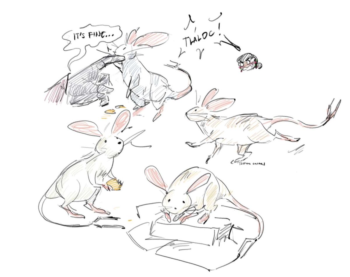 IZEDA DATORI tweet media