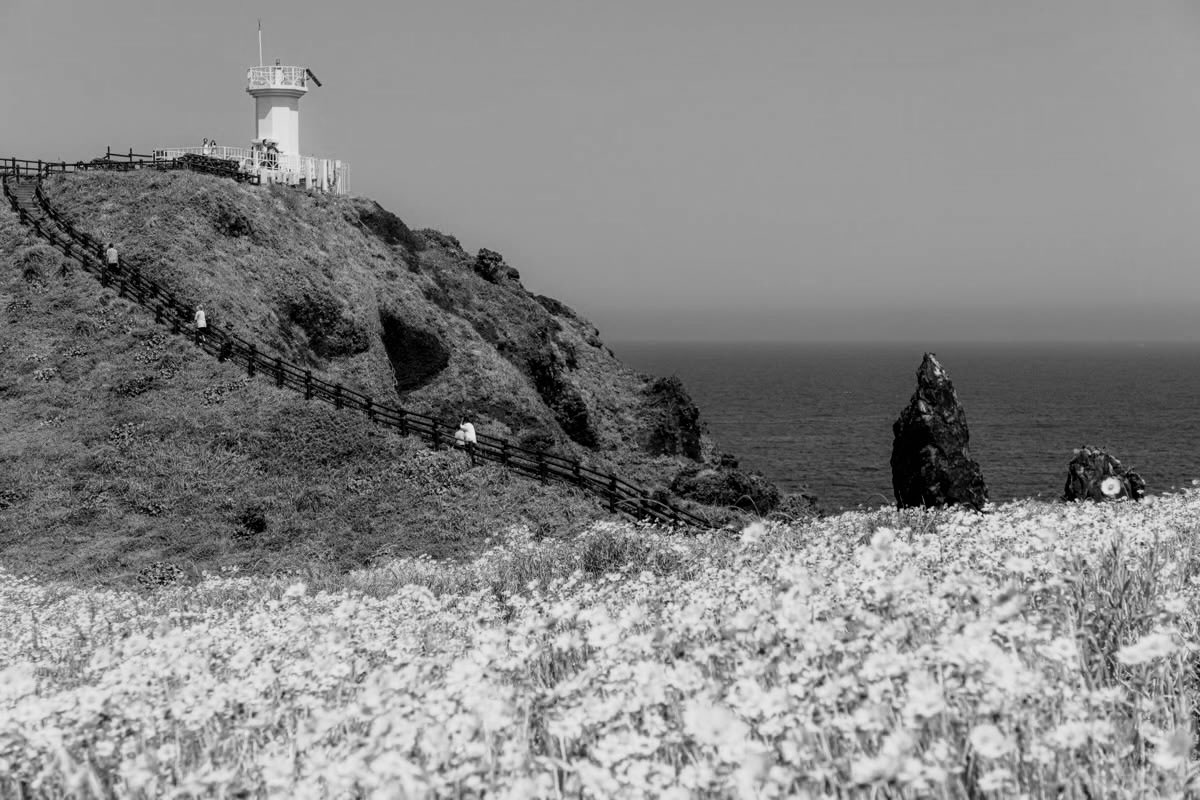 𝐾𝑖𝑎𝑟𝑎 𝑃𝑎𝑛𝑛𝑎𝑟𝑖𝑛. tweet media