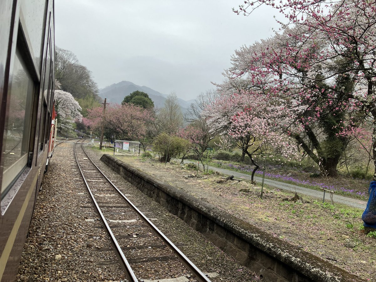 ロー鉄★ニッシー tweet media