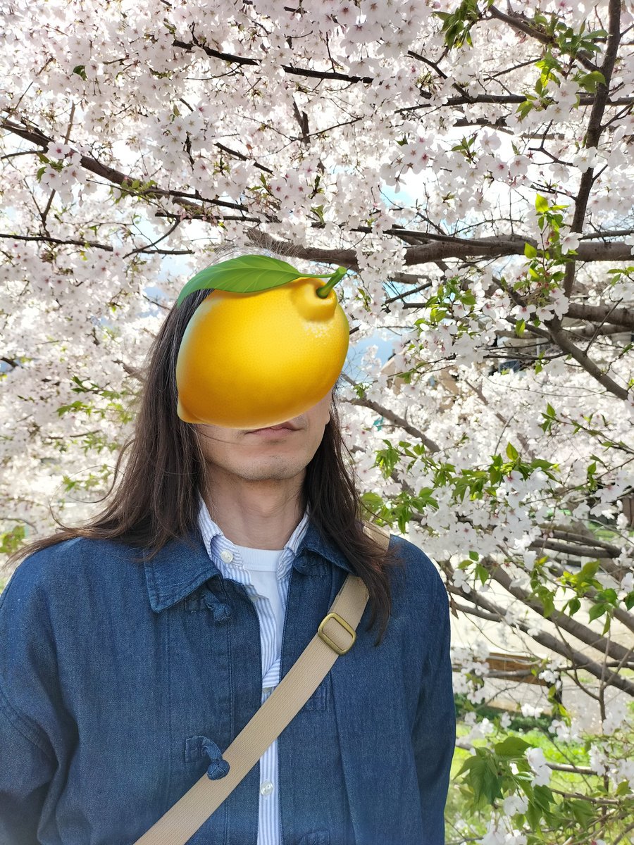 サラ・カイリイ tweet media