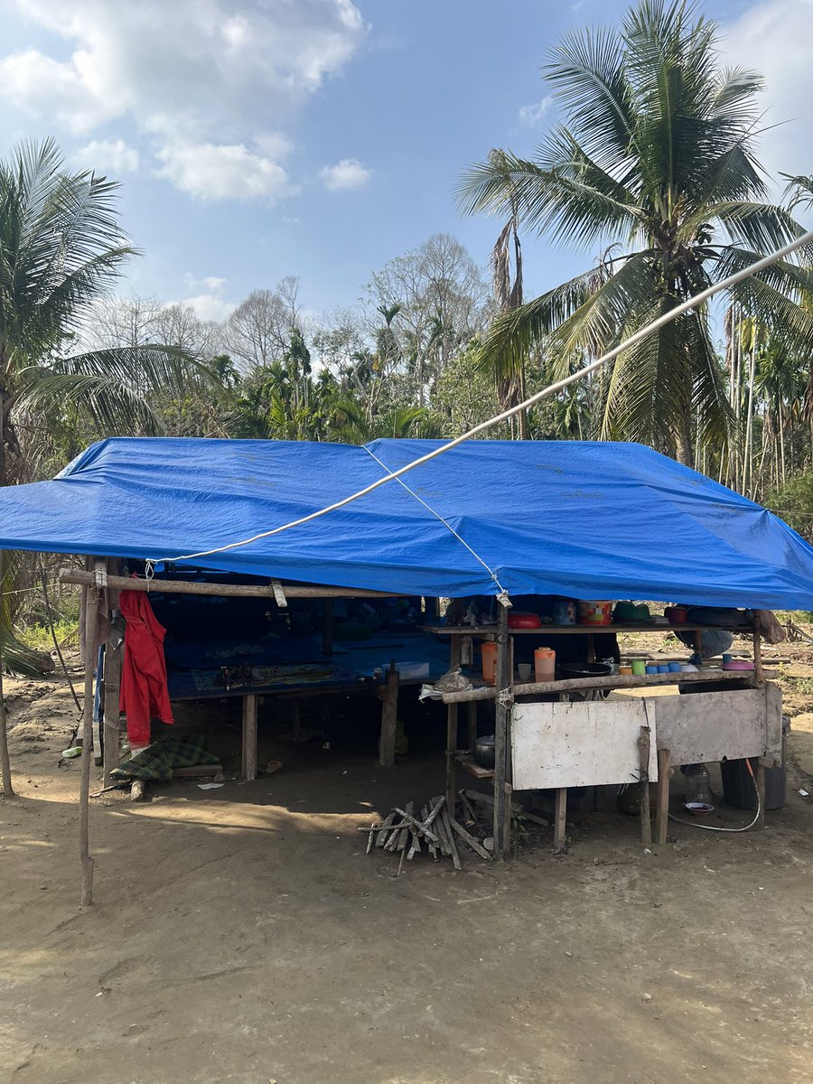 Humanies Project tweet media