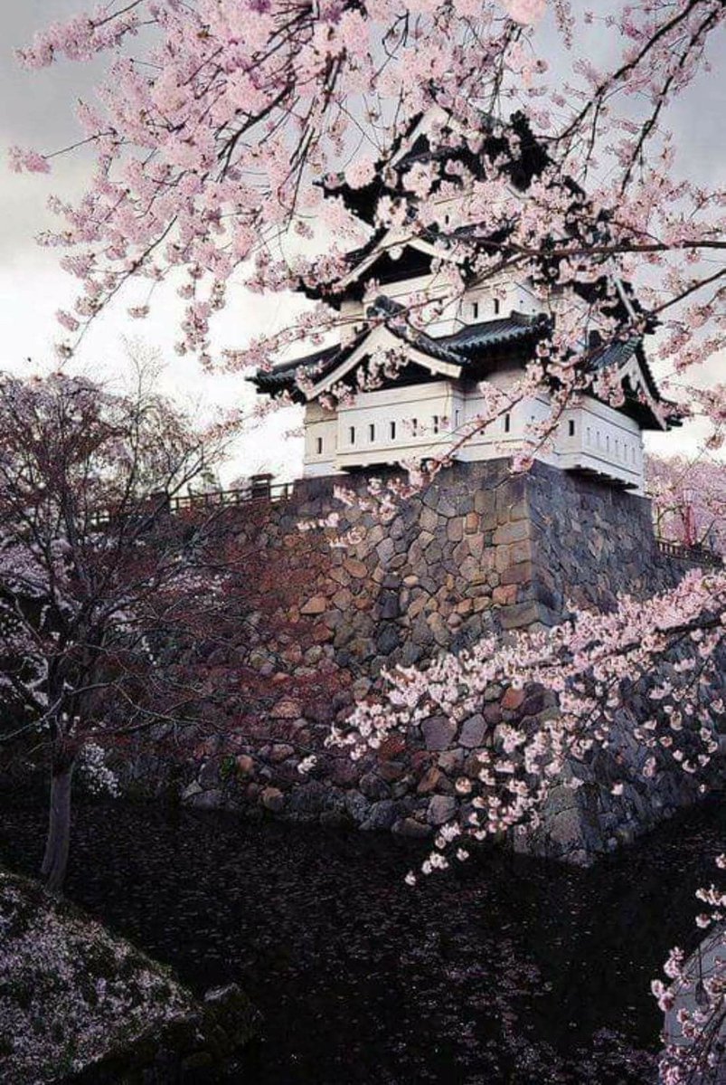 _sam_sa_ra's tweet image. Oggi Bing mi ha portato qui, al Castello di Hirosaki.

#work