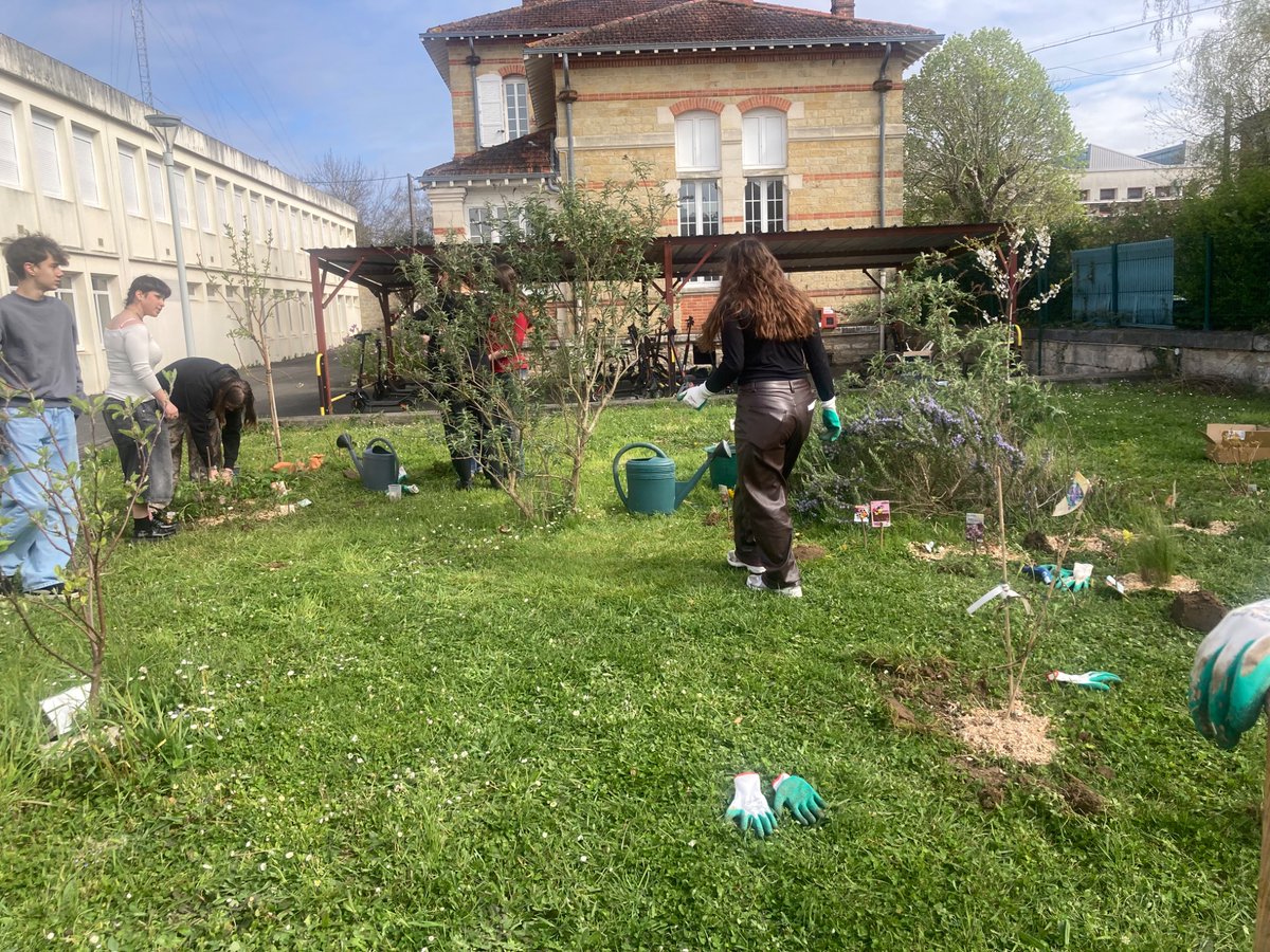 CDIBrisson's tweet photo. 🙌🏻Projet #jardin 🌿💛👩🏻‍🌾🧑‍🌾🐝🐞🪱
La classe 2 Création et Culture Design à l’œuvre 🌱👌🏻, pense et implante un jardin Design au cœur du lycée qui favorise la biodiversité #design #biodiversite #EDD @dsden18 @ac_orleanstours https://t.co/NeOCj906Vc