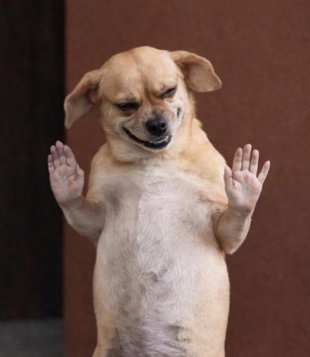 LORD SPARK🤴 tweet media