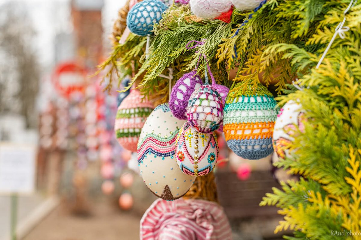 Vilma Dambrauskienė tweet media