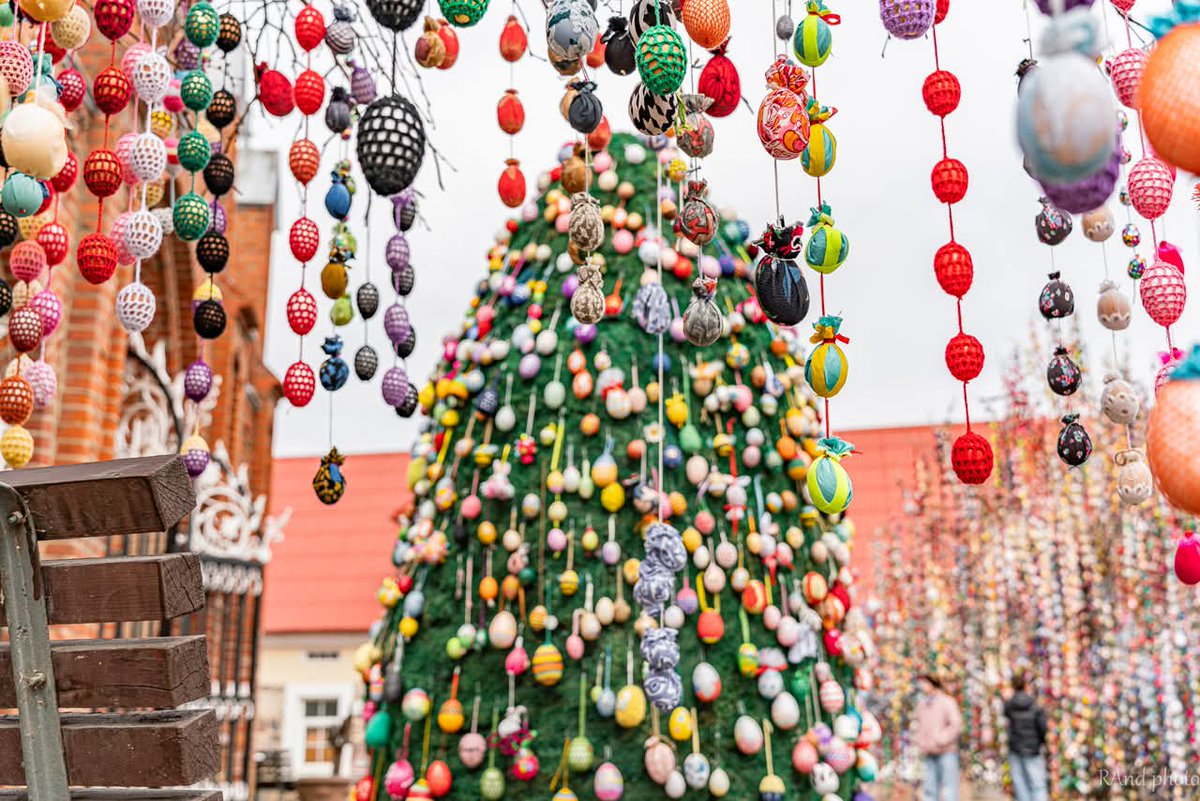 Vilma Dambrauskienė tweet media