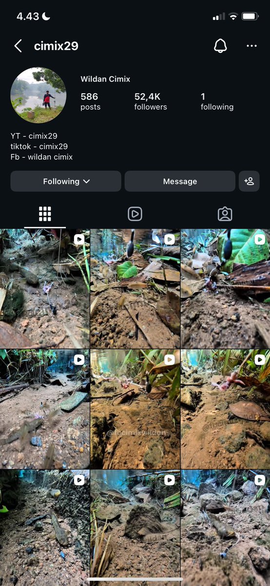 🌸🌼 tweet media