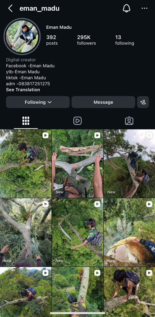 🌸🌼 tweet media