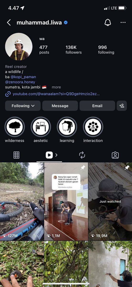 🌸🌼 tweet media