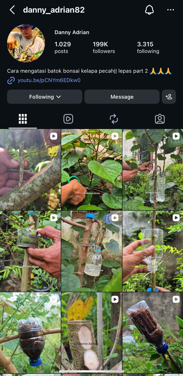 🌸🌼 tweet media