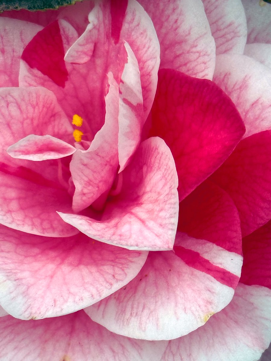 うに🧡 tweet media