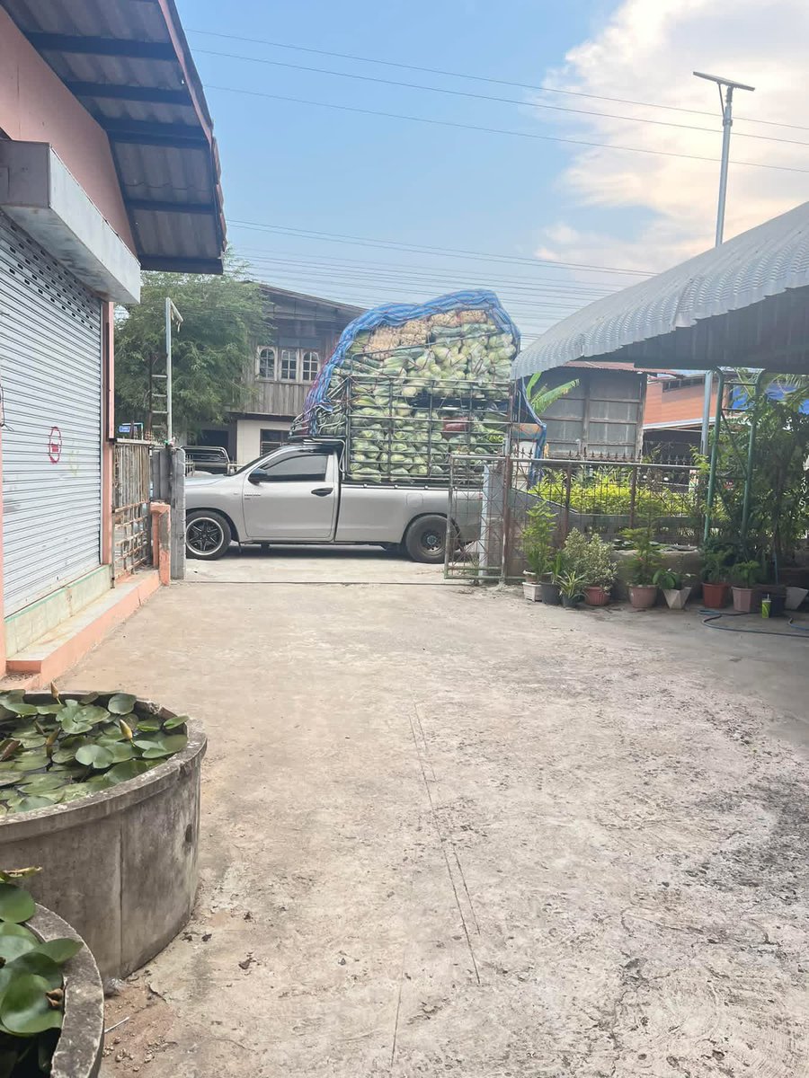 เจ๊แสง ผักสด💚 tweet media