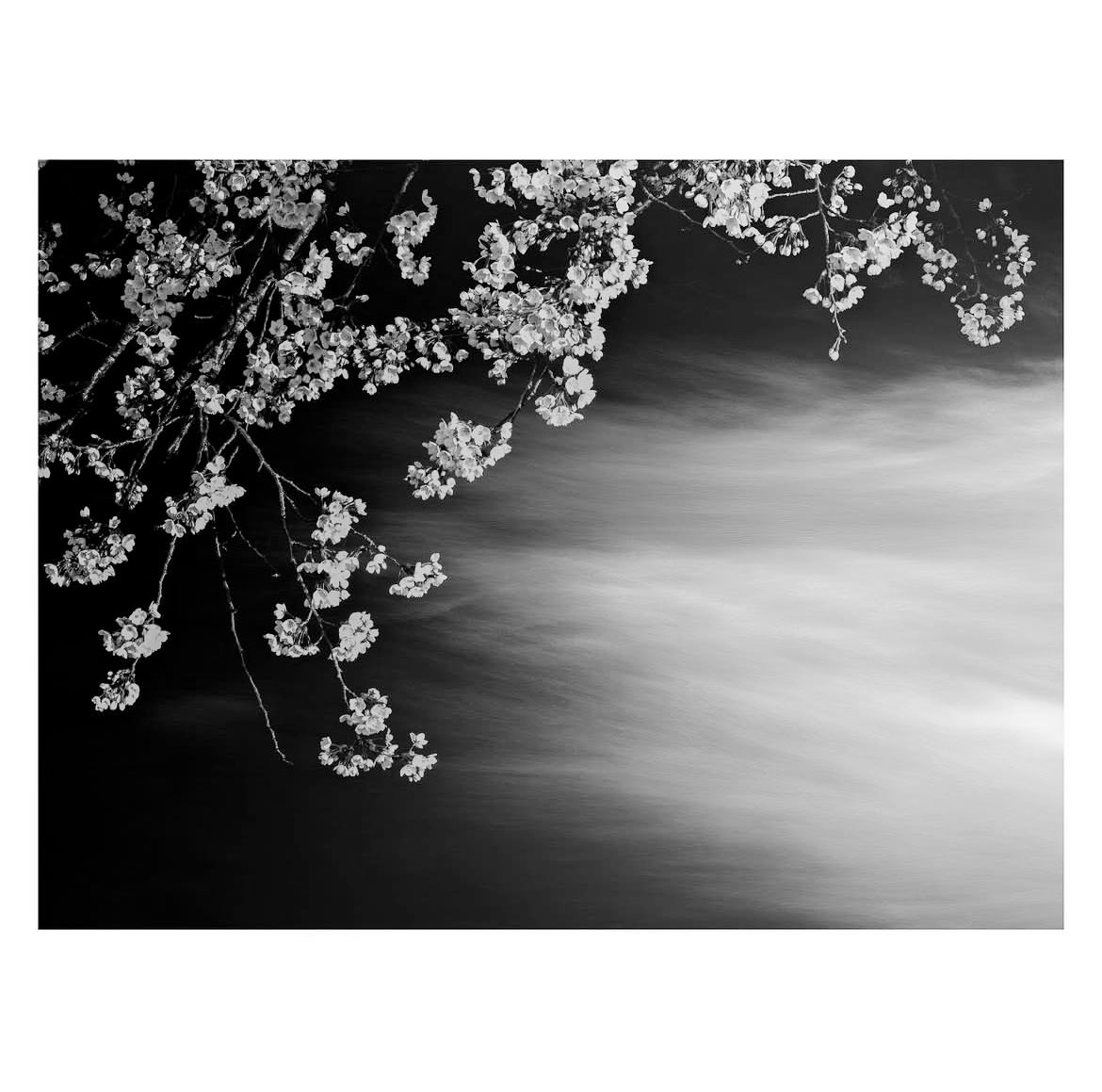 なな☺︎ tweet media