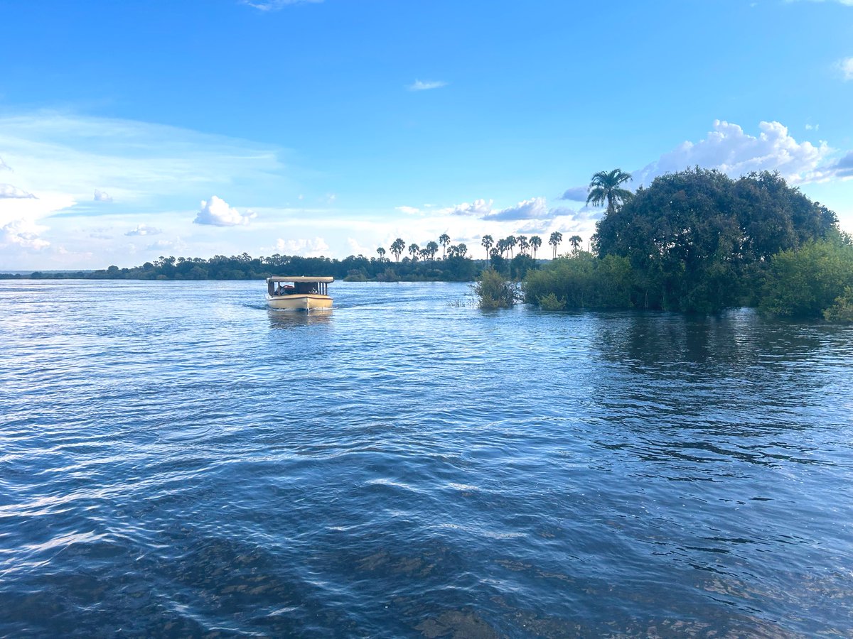 Ruwa Watch tweet media