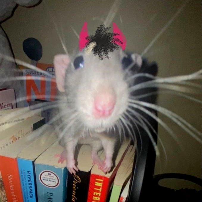 Scrubway 🐀🛹 {Ratboy arc} tweet media