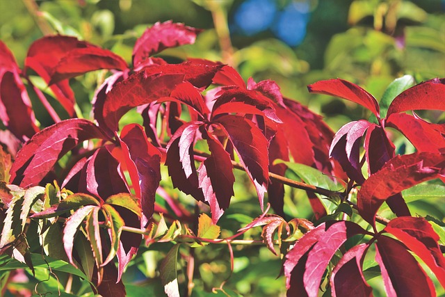 Shannon Brown tweet media