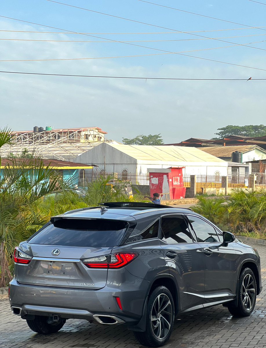 OWELLE🦅 tweet media