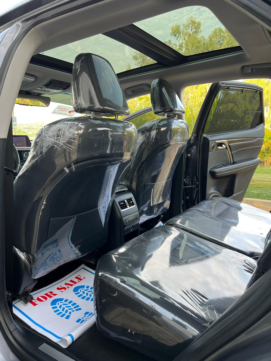 OWELLE🦅 tweet media