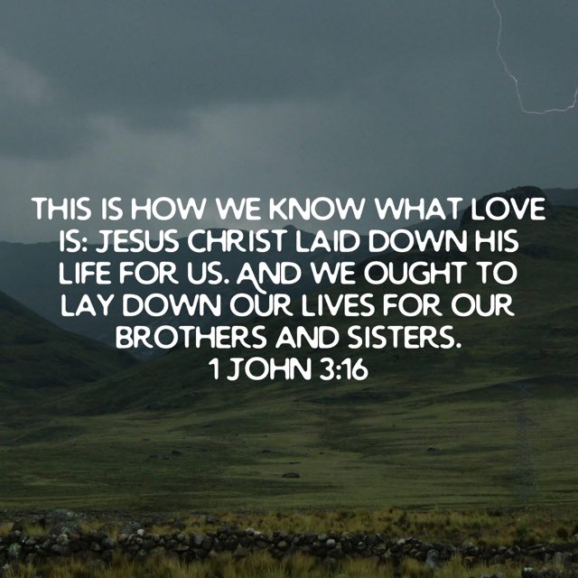 💯Aggie Owens🥩💯 tweet media