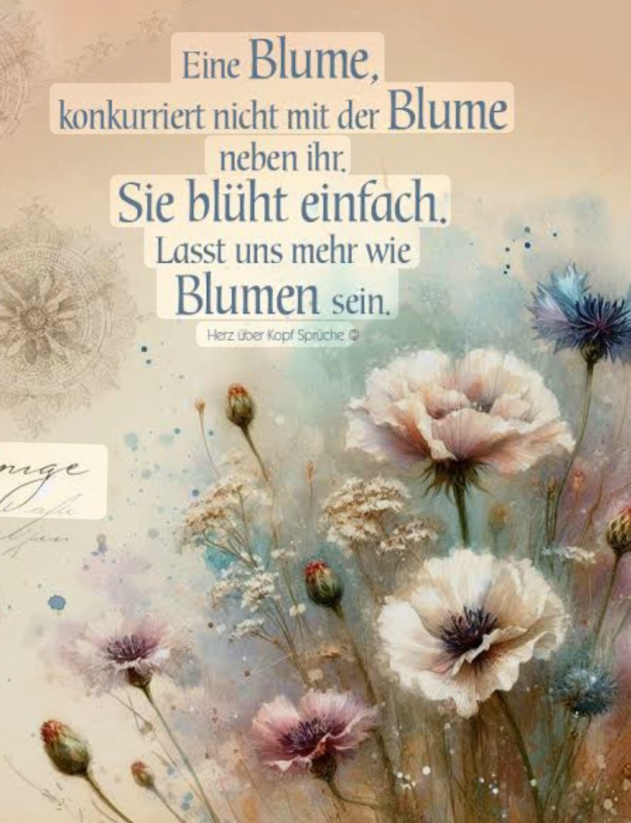 GuDrun♥️Träume♥️Magie 🔮🦋 tweet media