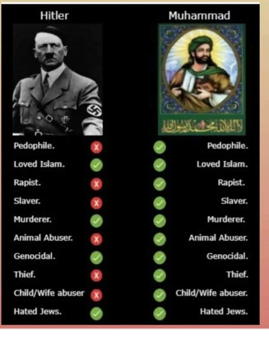 Droidzilla22 tweet media