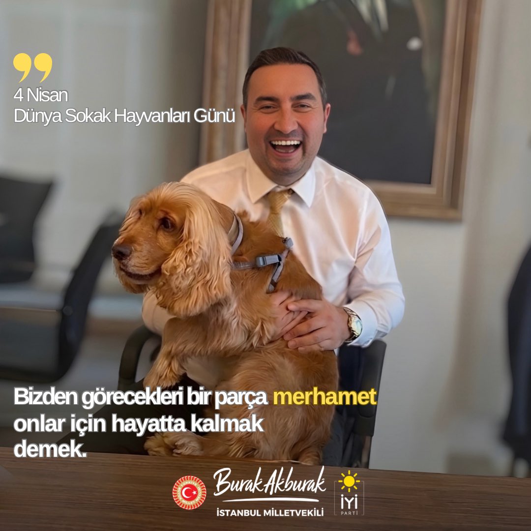 Burak Akburak tweet media