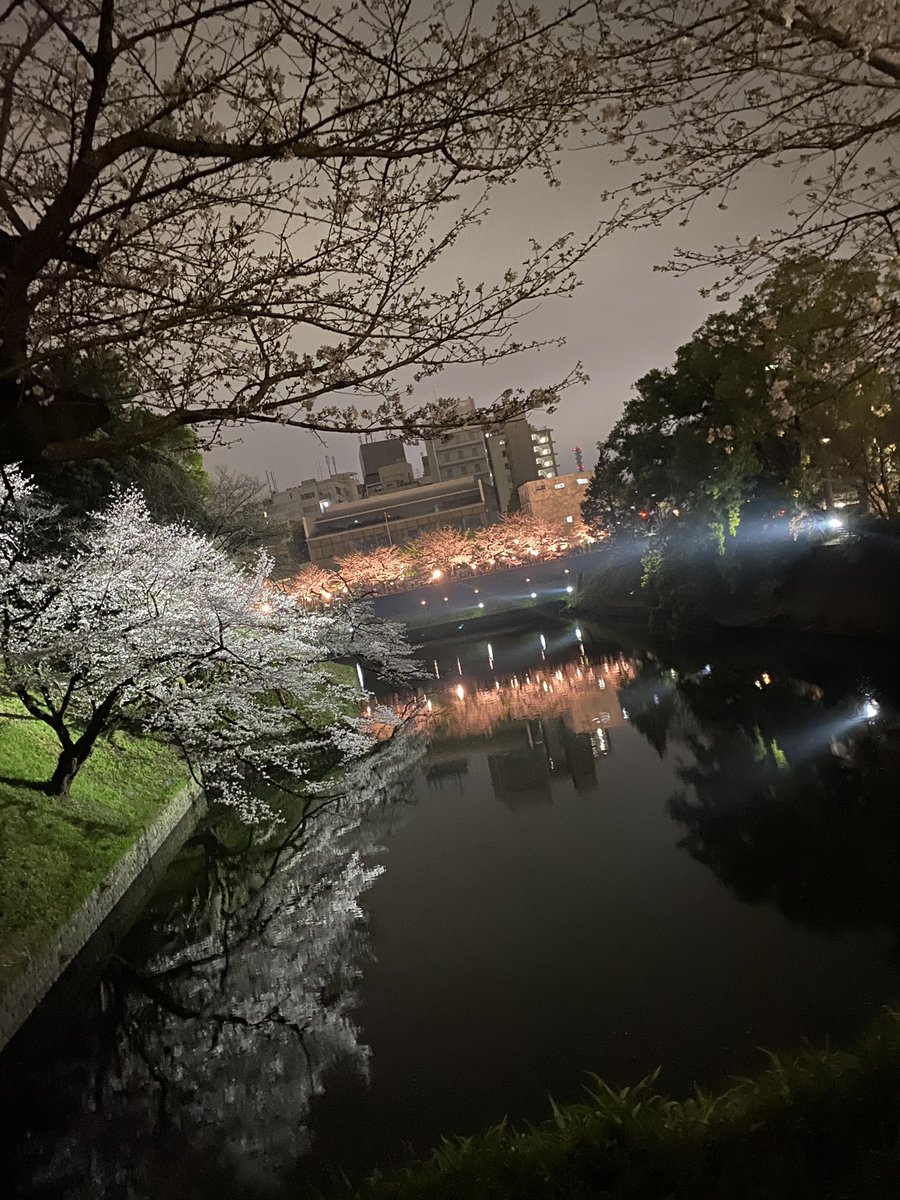 𝑻𝑨𝑫𝑨𝑴𝑰𝑻𝑺𝑼 tweet media