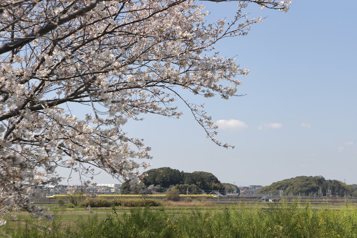 taotin1's tweet photo. 4/3
ドクターイエロー T5編成 のぞみ検測
#東京923
#T5編成
#のぞみ検測
#桜 https://t.co/PzQWSO6SUl