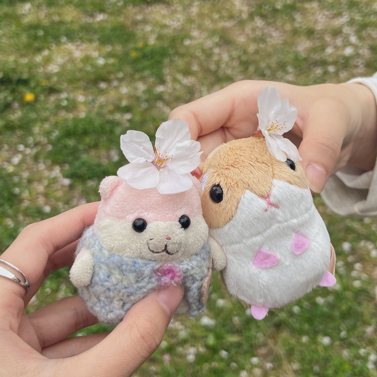 おりん tweet media