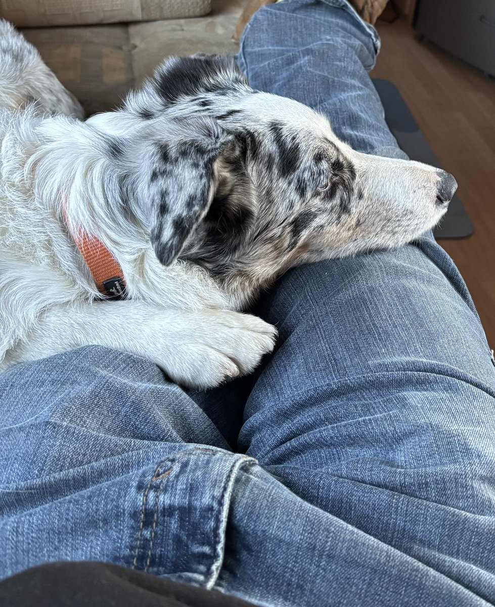 StevieFarmerboy1919 tweet media