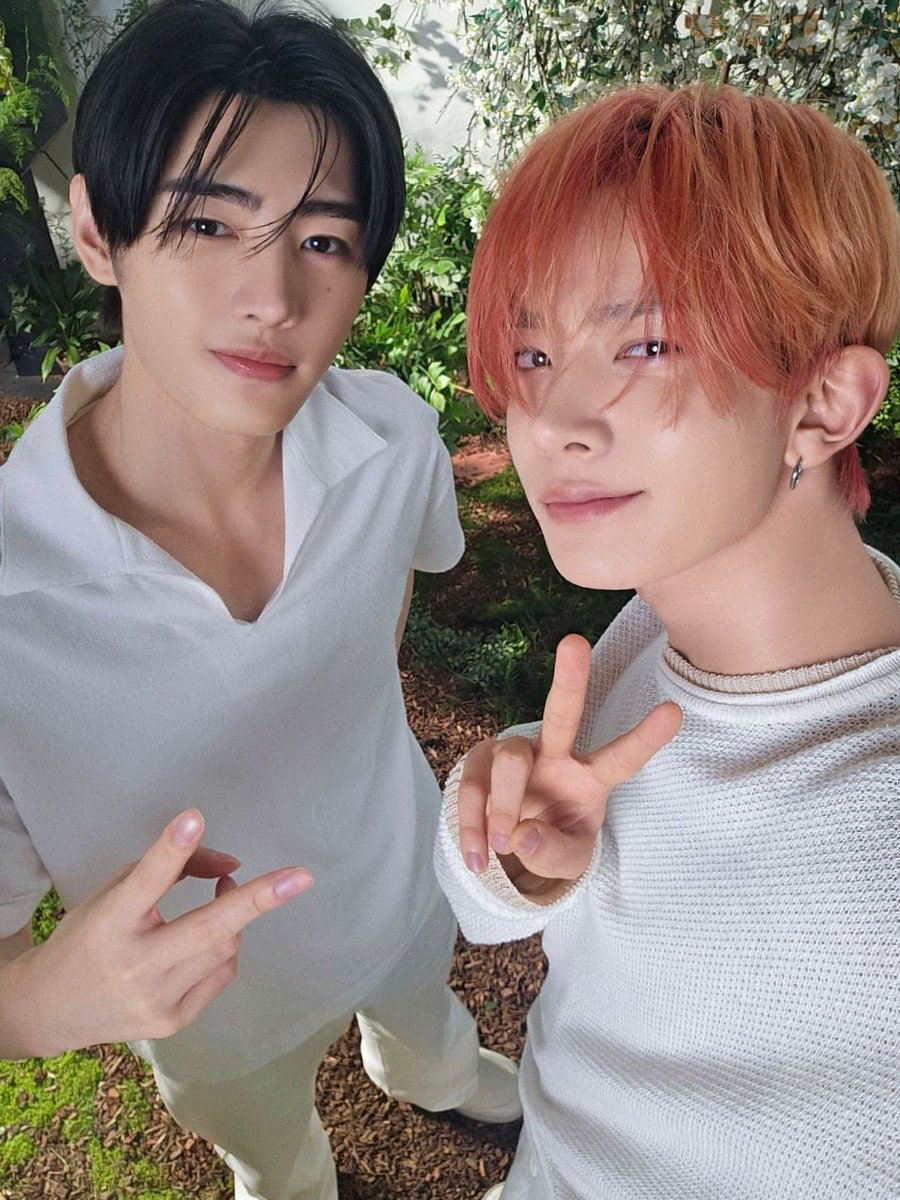 rwonie⁷- ENHYPEN IS 7 tweet media