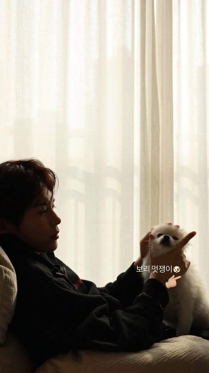 ํ๊น์ง๐น๐ซ tweet media