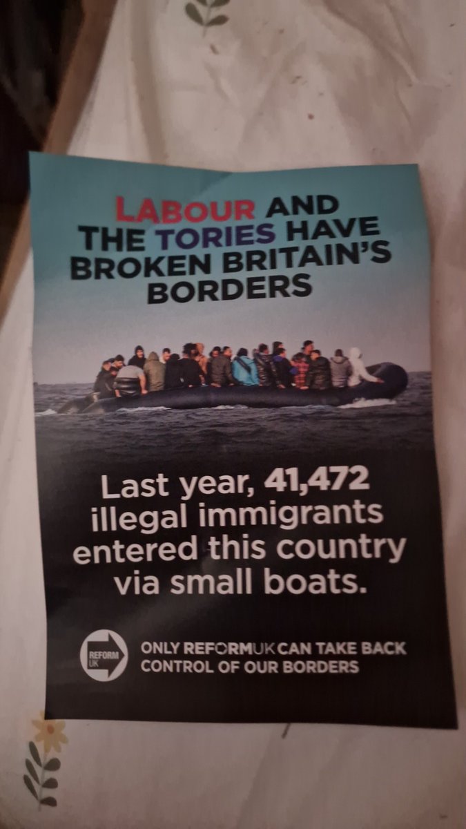 Lilly Markus tweet media