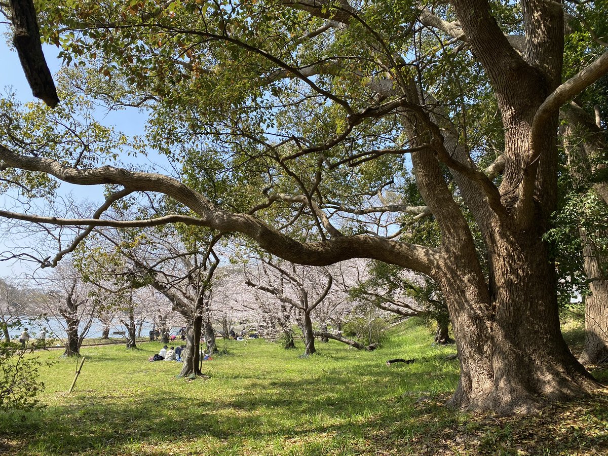 Jonathan Hiro tweet media