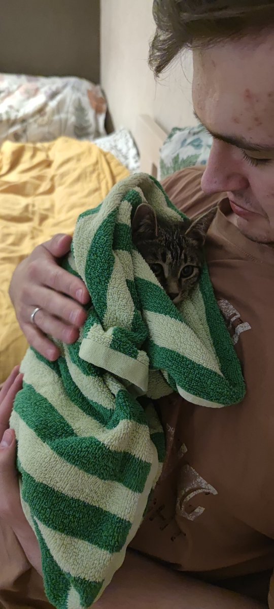 Хурма tweet media