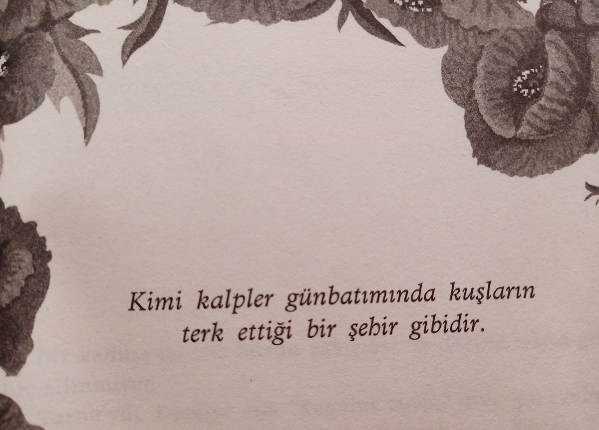 Betül (@betulkaracaolan) on Twitter photo 