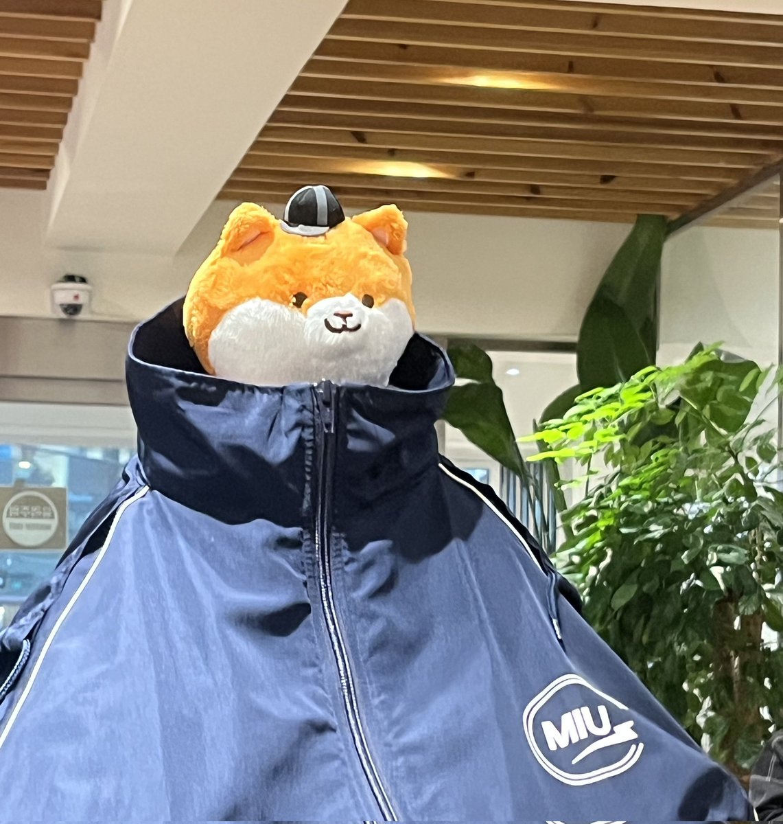 구독구 tweet media